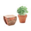 CRESS POT - Bois