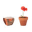 RED POPPY - Bois