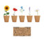 FLOWERS - Beige