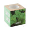 MENTA - Bois