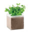 MINT - Beige