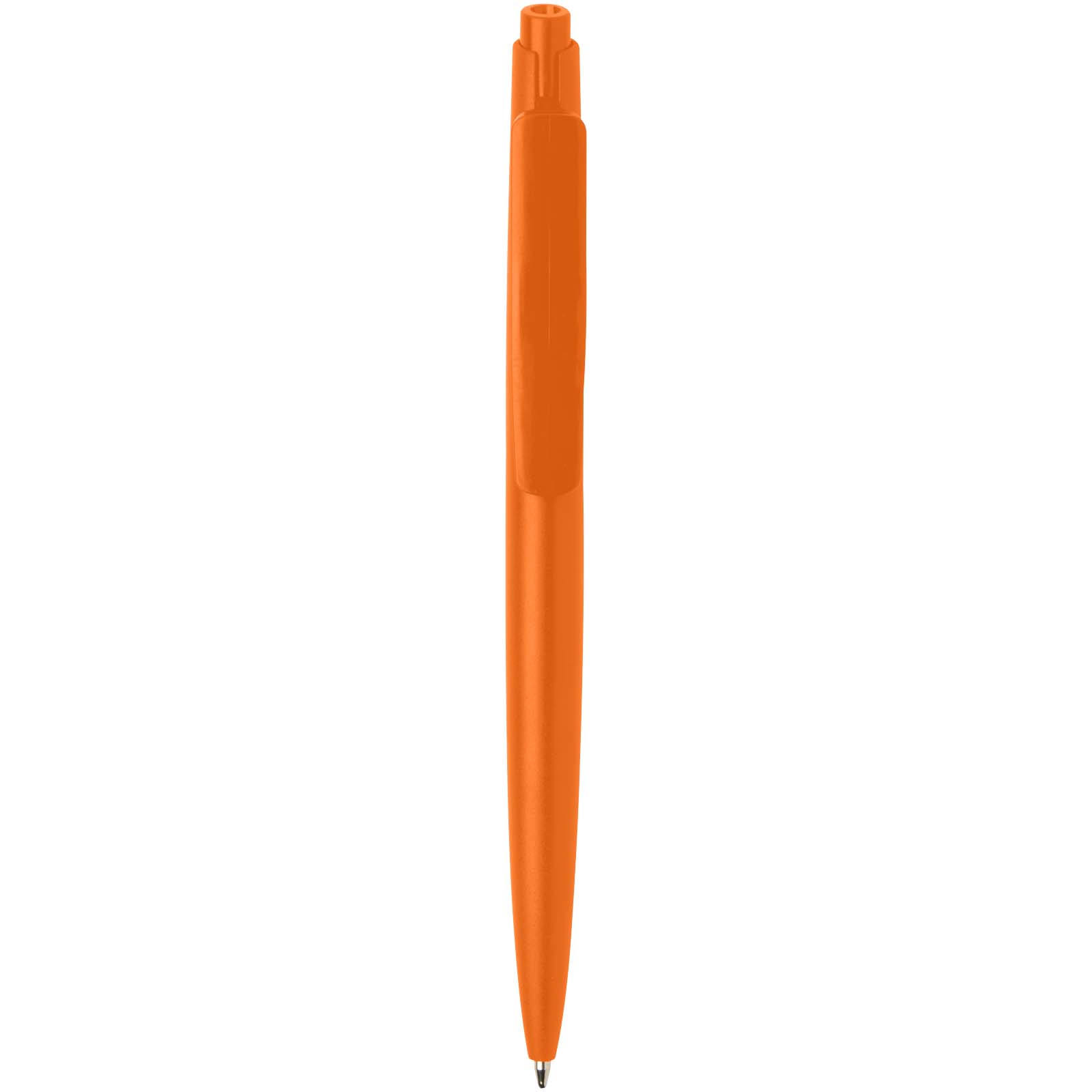 10629931.jpg