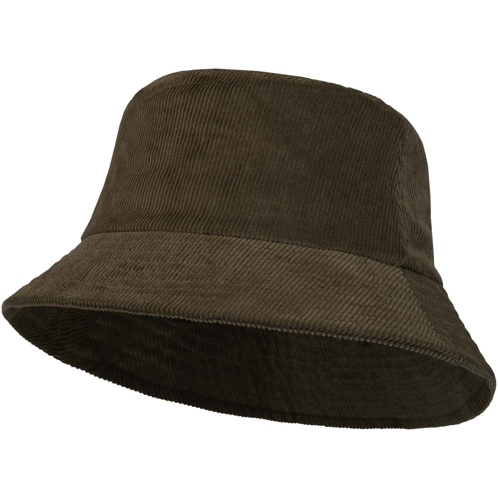 11107264.jpg