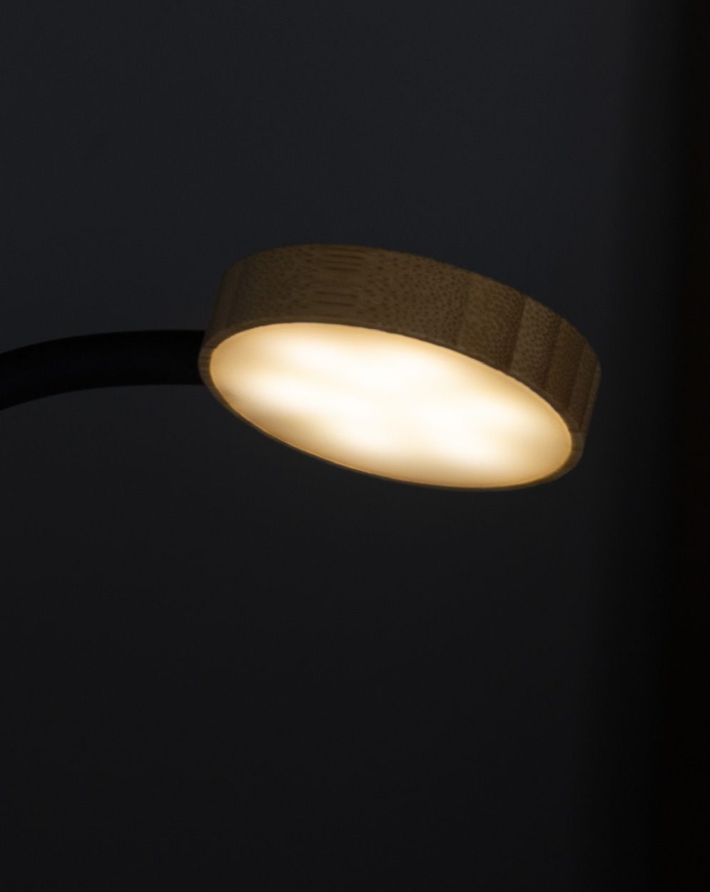 AP864107__CU4.jpg