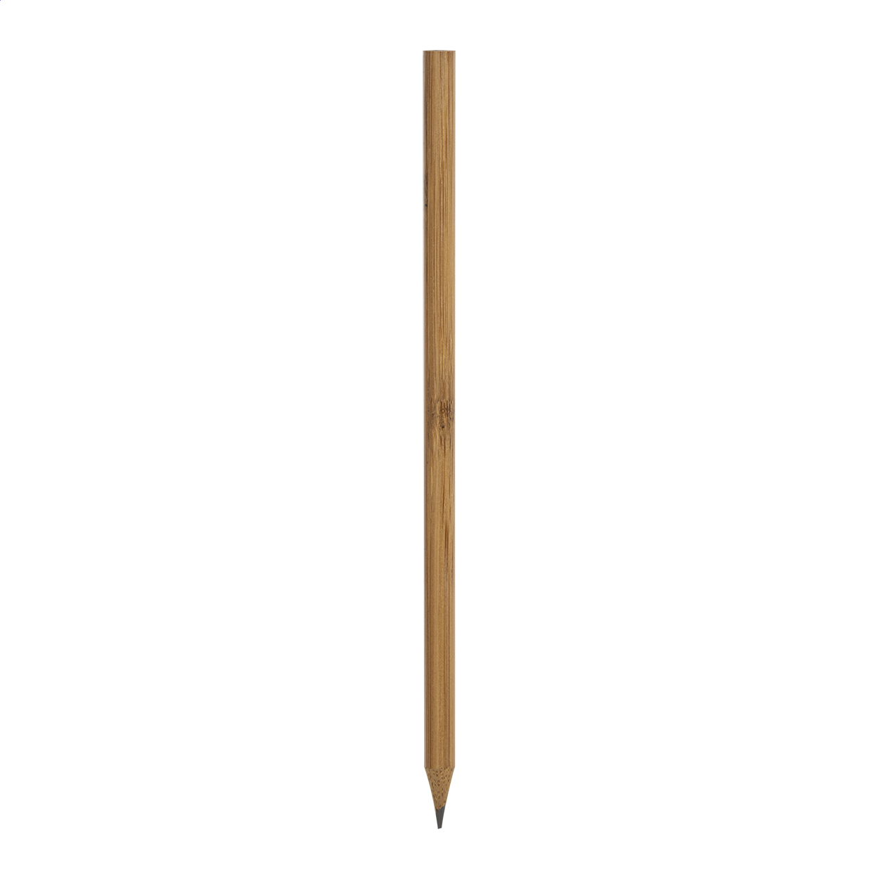 AP800645.jpg
