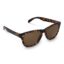 Lunettes de soleil Finn UV400 - Noir / marron