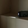 uploads-impr_1565876.jpg